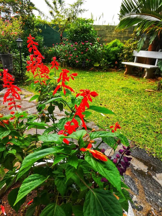Barefoot Inn Kandy Eksteriør bilde